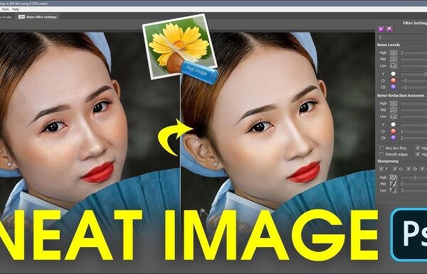 Neat Image Pro Free Download